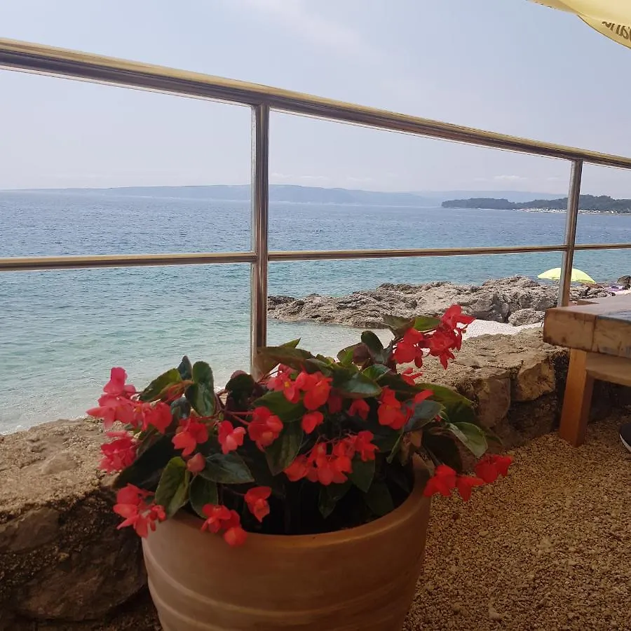 Studio Allure 1 Kornić شقة